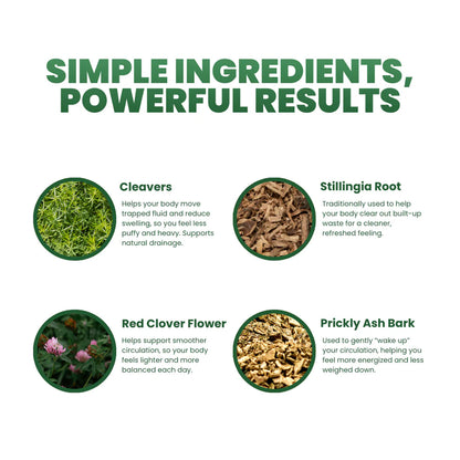 Lymphatic Drainage Wellness Drops