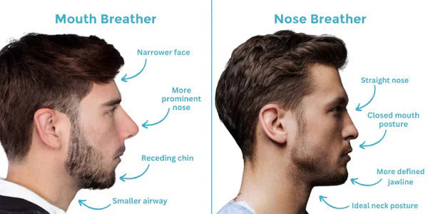 NightFlow Breathing System